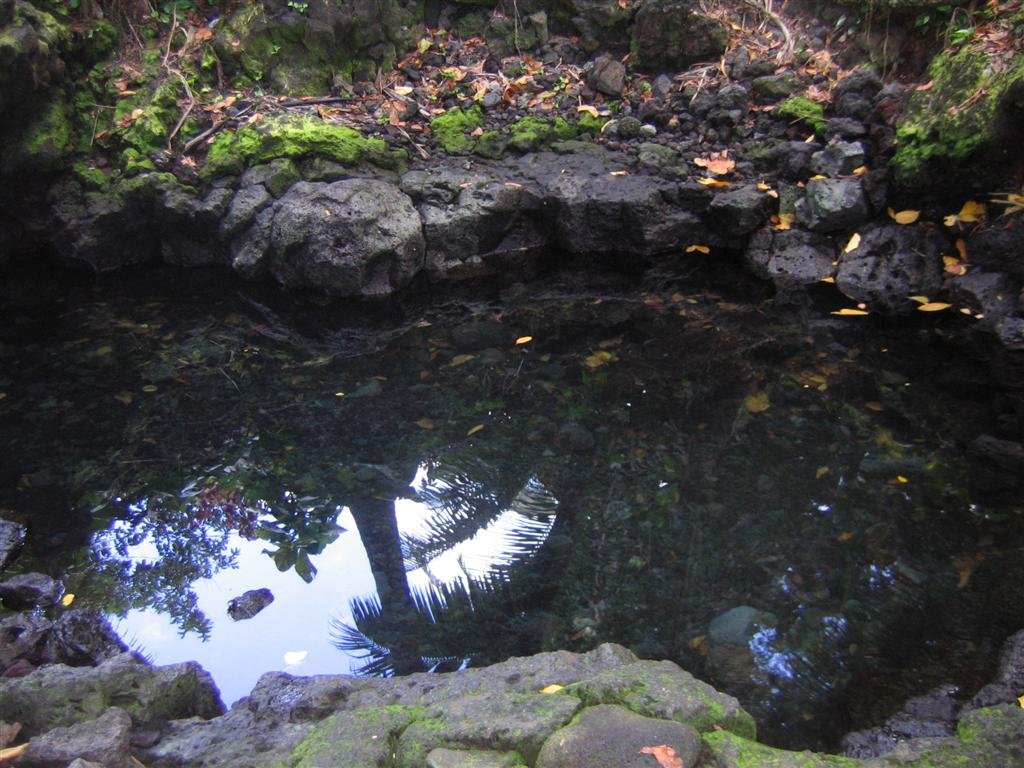 thehotspring.jpg