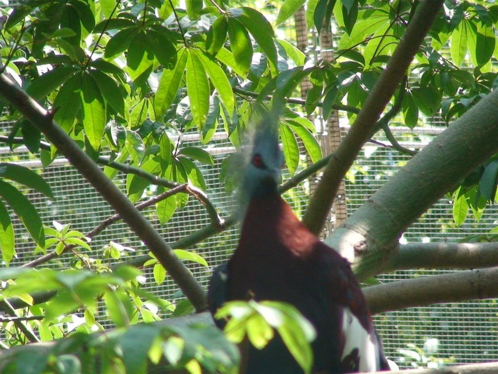 itsalwaysscarywhenbirdslookatyou.jpg