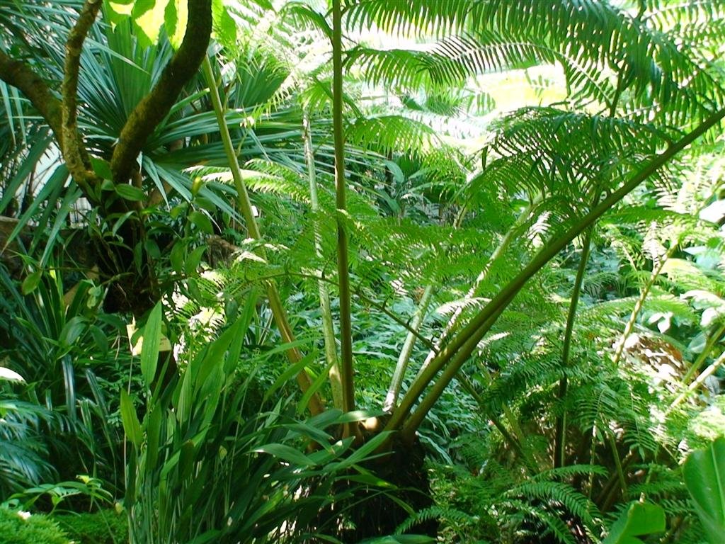 lotsofgreen.jpg
