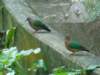 twobirdsstanding_small.jpg