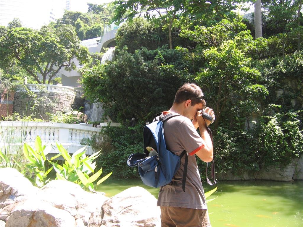 yourintrepidphotographercapturesturtlemomentsonfilm.jpg