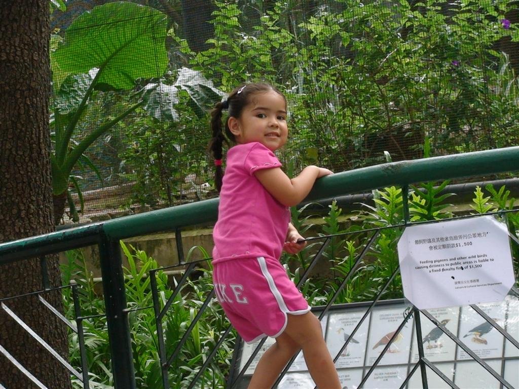 allyclingingonthegate.jpg