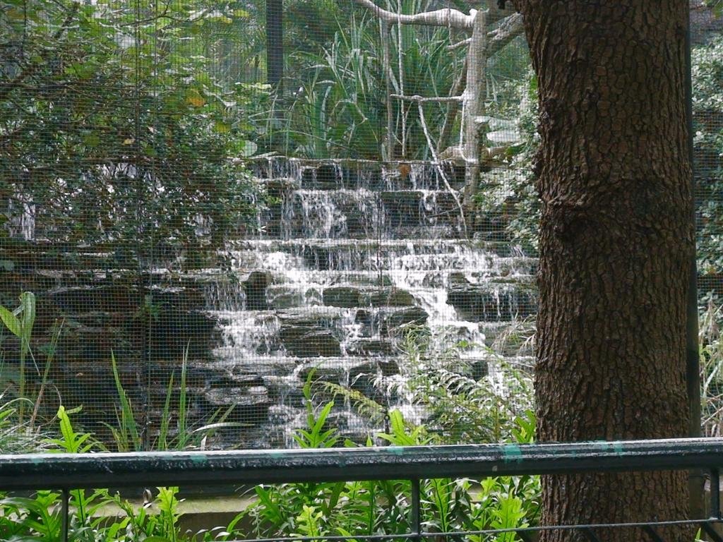 atthefreezoothereisanicewaterfallhere.jpg
