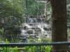 atthefreezoothereisanicewaterfallhere_small.jpg