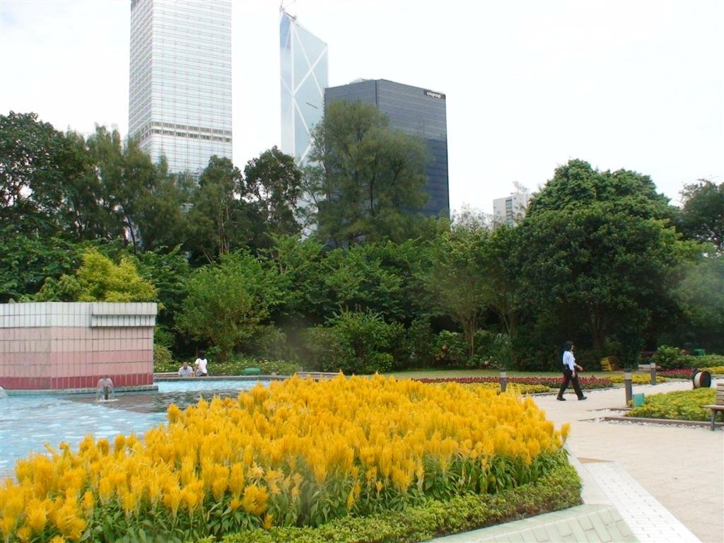 lotsofyellow.jpg