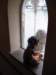 allylooksout_small.jpg