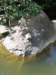 aturtlesunshimselfonarock_small.jpg