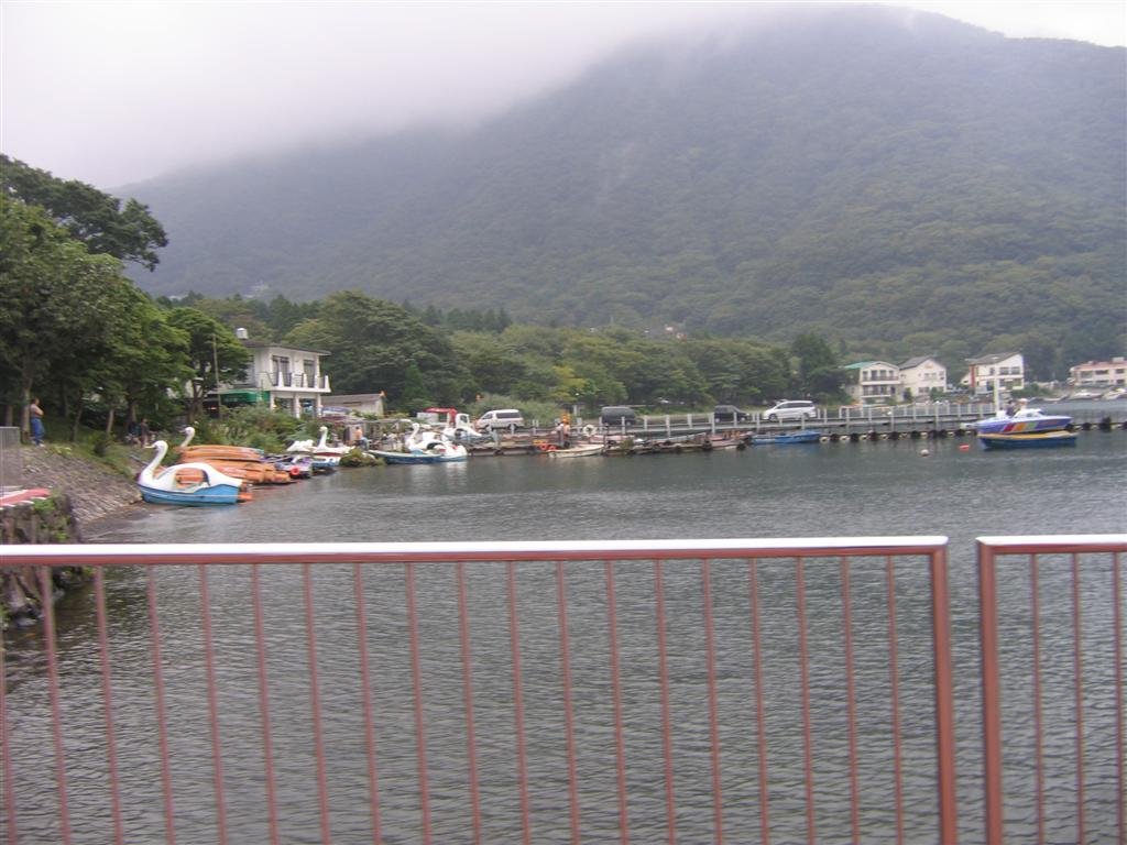 aviewfromtheboatdock.jpg