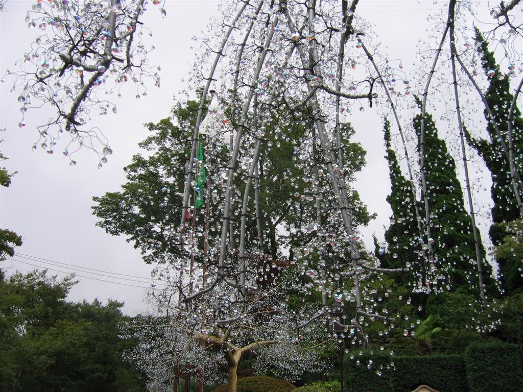 wewenttohakonejapanwhichislikeanationalparktheretheyhaveaglassmuseumdoneinthestyleof1600sitalyhereisaglasstree.jpg