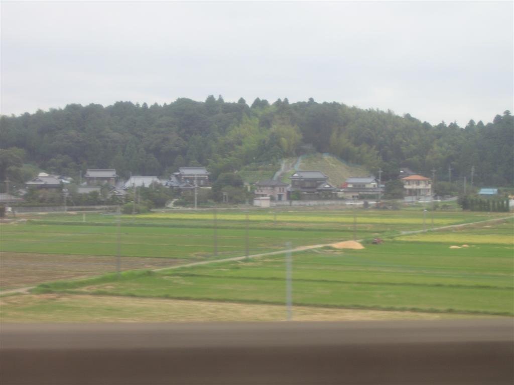 aviewfromthetrain.jpg