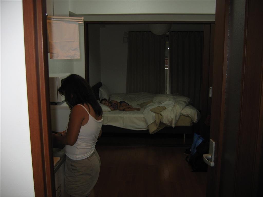 lookinginfrontheentranceoftheapartment.jpg