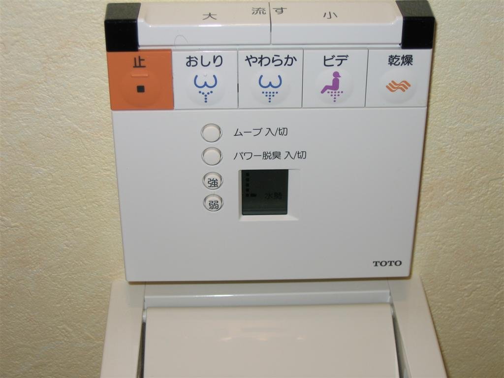 thetoilethassomedifferentoptionsforcleaning.jpg