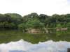 alakeatkinkakuji_small.jpg