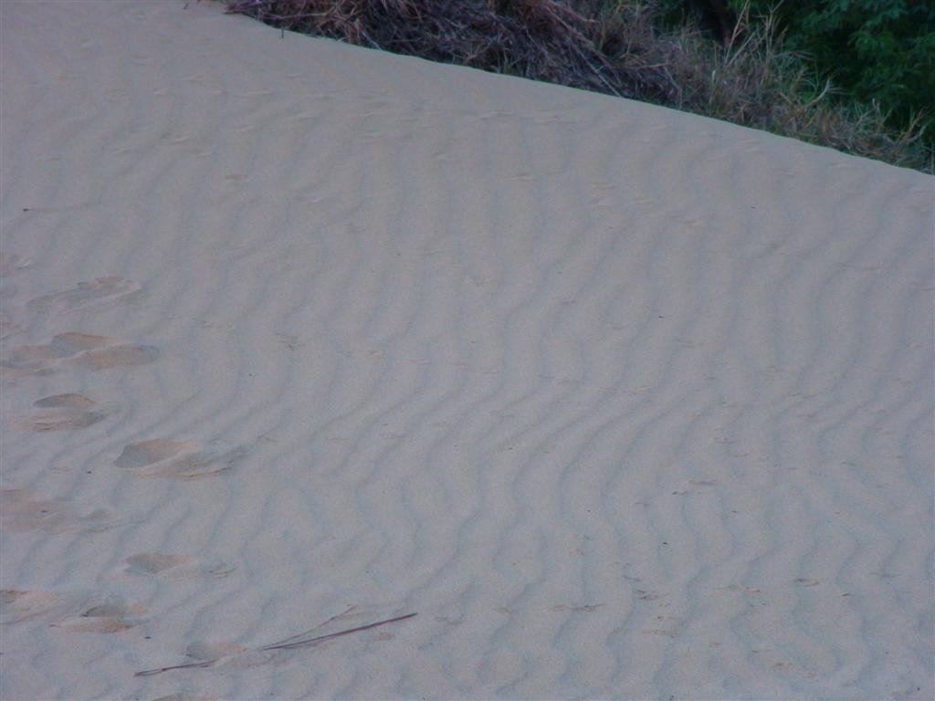moresaharalikesand.jpg
