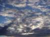 twobirdsinthesky_small.jpg