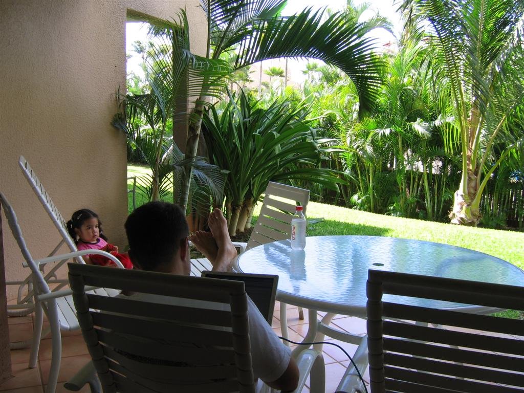 thebackyard.jpg