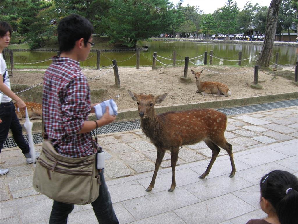 adeerapproachesourguide.jpg