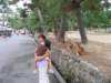 allystillsleepsandthedeercontinuetorest_small.jpg