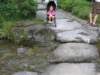 allyinherstroller_small.jpg