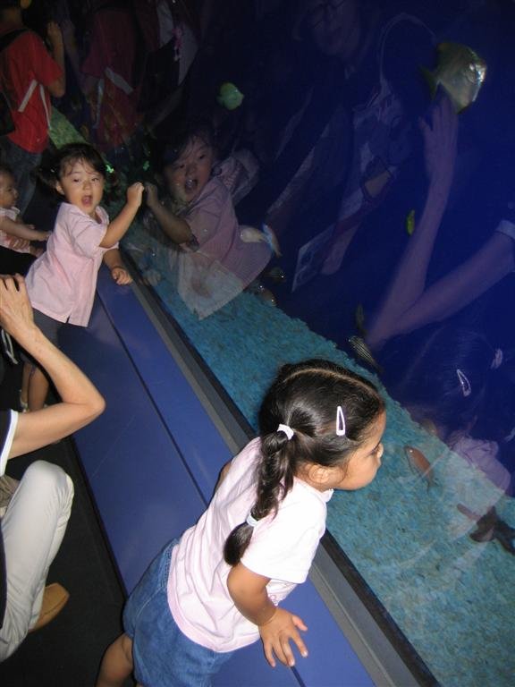 allyandsomekidsenjoythefish.jpg
