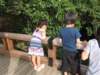 allyandotherswatchturtlesinthelakethefamilynearbywasfeedingthembreadandtheturtleswouldswoopintoeatit_small.jpg