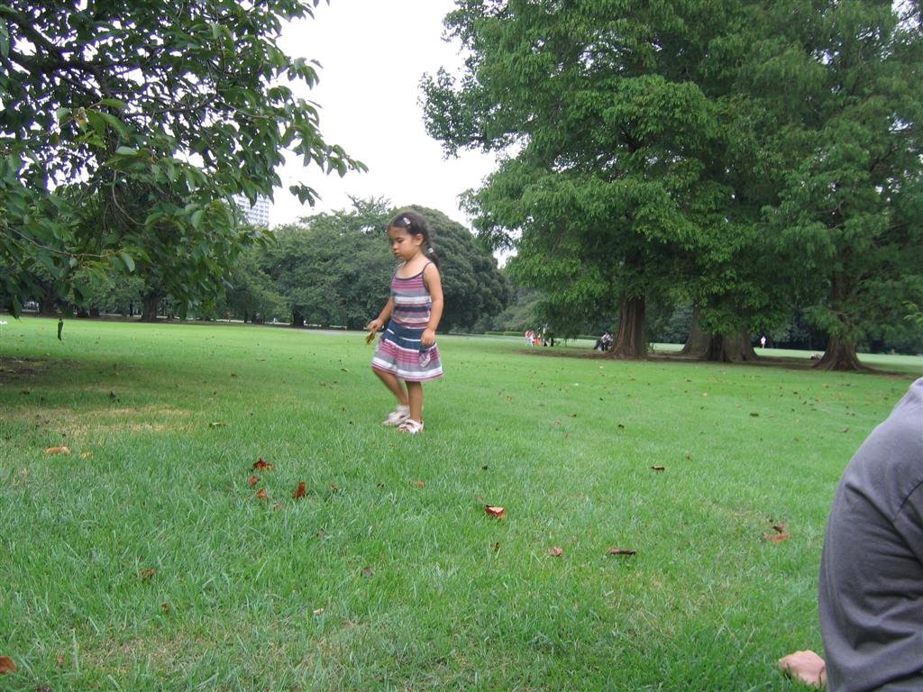allysearchesthegroundforleavesandsticks.jpg