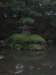 thegarden_small.jpg