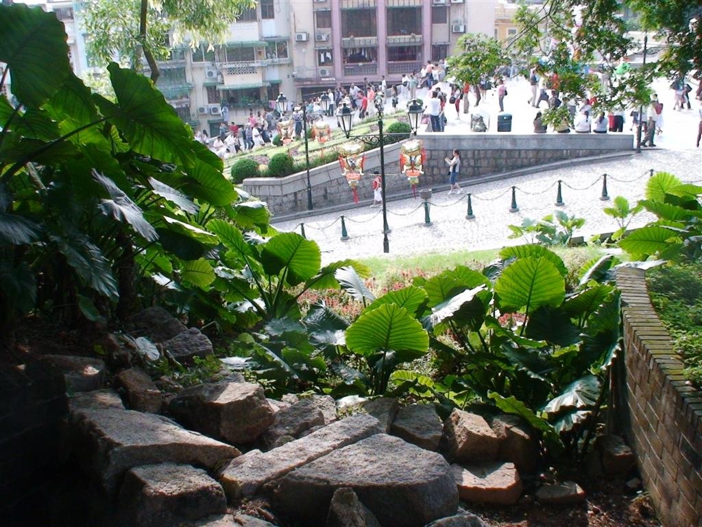 moregreenery.jpg