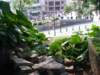 moregreenery_small.jpg